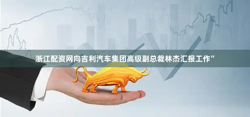浙江配资网向吉利汽车集团高级副总裁林杰汇报工作”