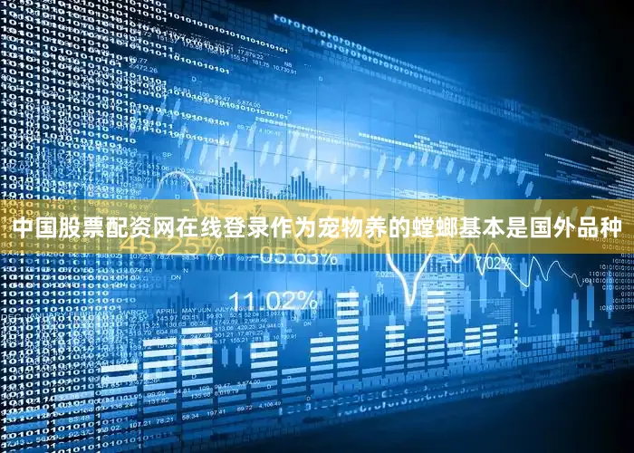 中国股票配资网在线登录作为宠物养的螳螂基本是国外品种