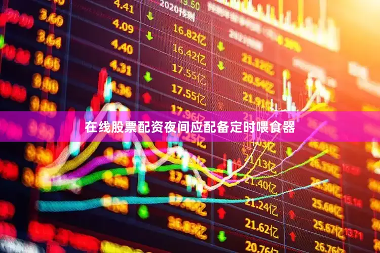 在线股票配资夜间应配备定时喂食器