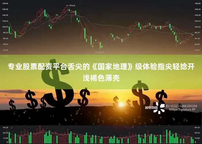专业股票配资平台舌尖的《国家地理》级体验指尖轻捻开浅褐色薄壳