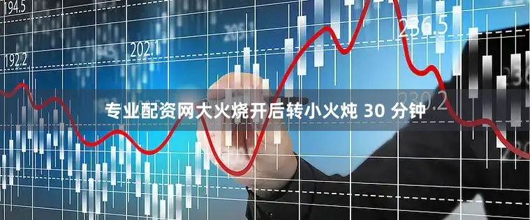 专业配资网大火烧开后转小火炖 30 分钟