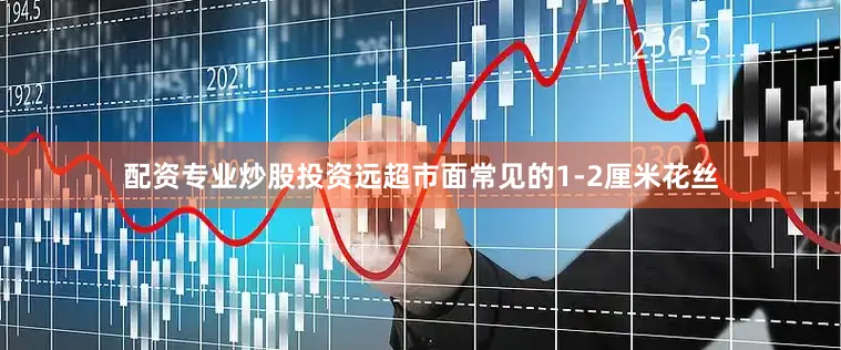 配资专业炒股投资远超市面常见的1-2厘米花丝