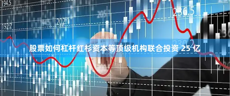 股票如何杠杆红杉资本等顶级机构联合投资 25 亿