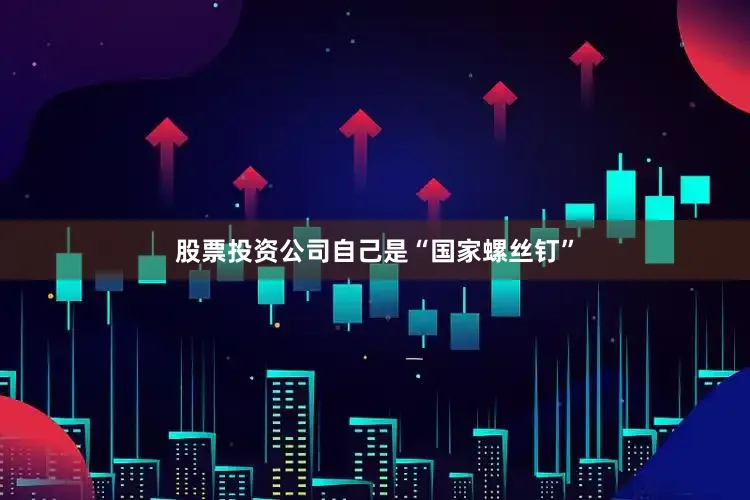 股票投资公司自己是“国家螺丝钉”